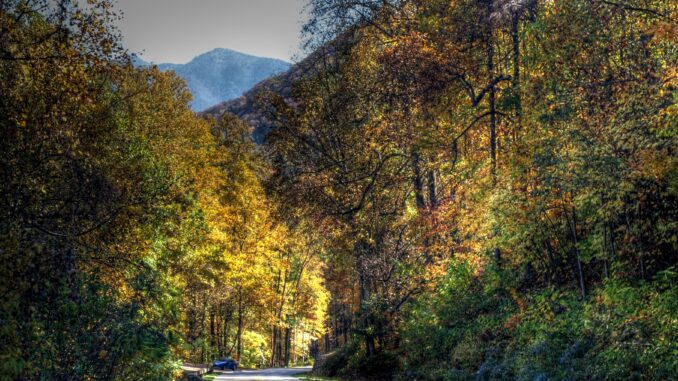 Smoky mountain car road trail in fall autumn yellow golden trees scenic