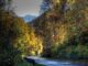 Smoky mountain car road trail in fall autumn yellow golden trees scenic