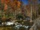 Smoky mountain river calm stream with rocks in autumn fall leaves nature