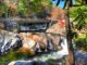 Smoky mountain rocky waterfall river flowing in autumn fall leaves nature