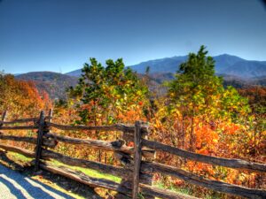 Smoky mountain overlook of trees in fall autumn along car road with old wooden fence