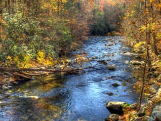 Smoky mountain river flowing in autumn fall leaves nature