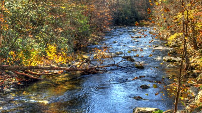 Smoky mountain river flowing in autumn fall leaves nature