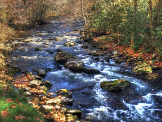 Smoky mountain rocky river flowing in autumn fall leaves nature