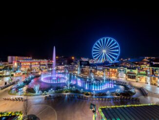 the island pigeon forge